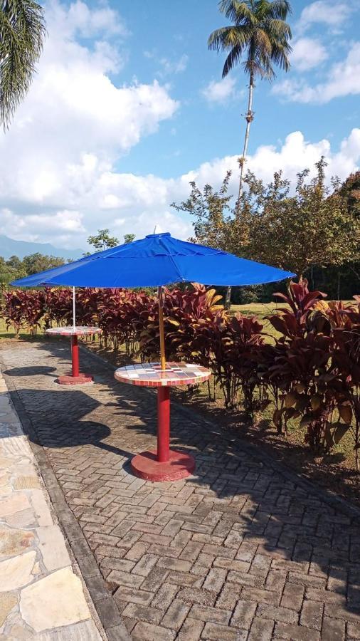 Casas Di Monte Ecopousada Morretes Ngoại thất bức ảnh